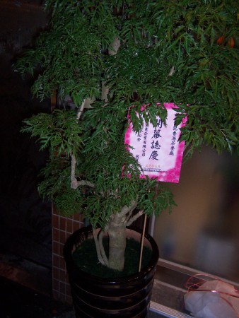 編號:C8   NT$: 4500元